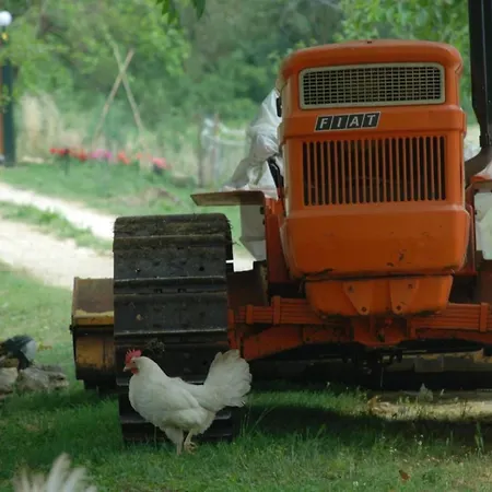 Unabhaengige In Amelia Mit Grill Und Gar By Interhome Apartamento