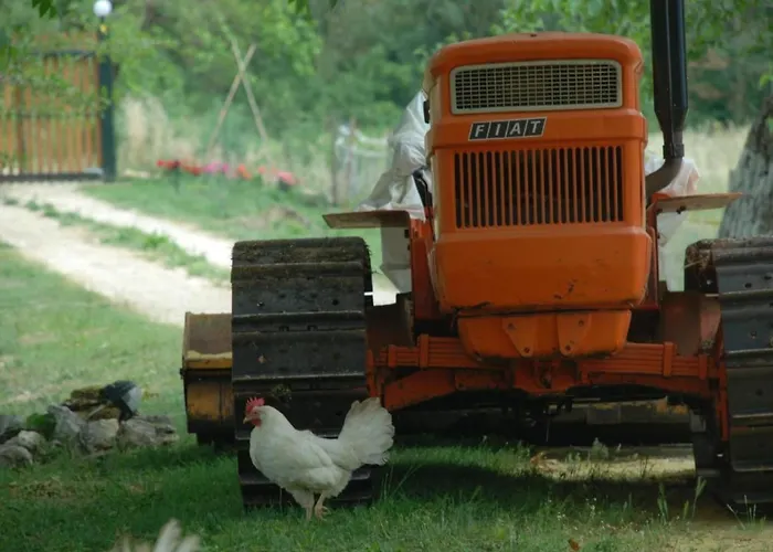 Unabhaengige In Amelia Mit Grill Und Gar By Interhome Appartamento